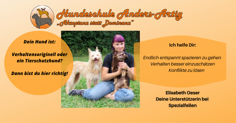 Gruppe fuer Verhaltensoriginelle Tierschutzhunde 3